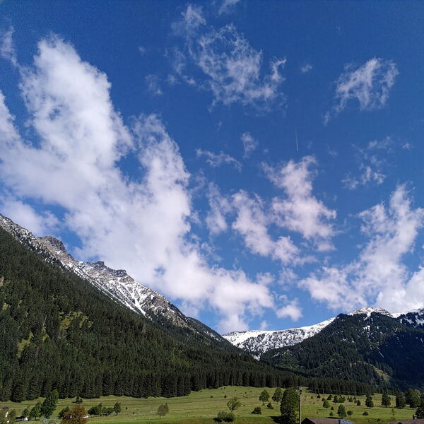 Wiese und Bergkette im Sonnenschein