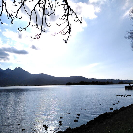 See im Sonnenschein